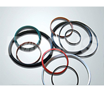 Main oil cylinder&rsquo;s sealing parts